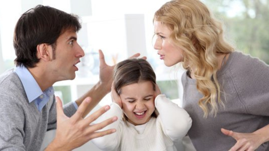 pensión de alimentos